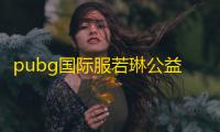 pubg国际服若琳公益直装